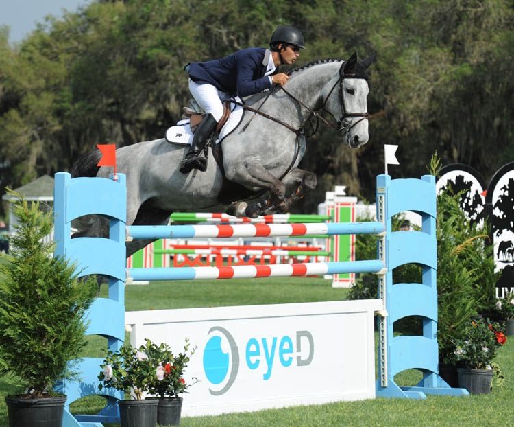 2004 Olympic Champion Rodrigo Pessoa of Brazil competing in the inaugural Live Oak International show jumping tournament.” “Two-time World Driving Championship silver medalist Chester C. Weber of Ocala, FL, won the FEI Four-in-Hand division at the 2012 Live Oak International. (Photo Credit: PicsOfYou.com)