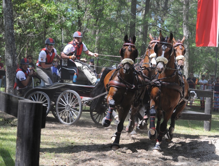 Weber, Wilson, Whaley and Lead USEF Combined Driving